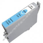 Compatible Epson T0495(T049590) Light Cyan Ink Cartridge