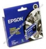 Genuine Epson T0491(T049190) Black Ink Cartridge